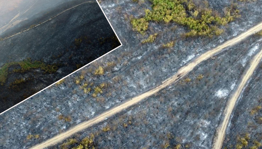 Çanakkaledeki orman yangınında zarar gören alanlar görüntülendi