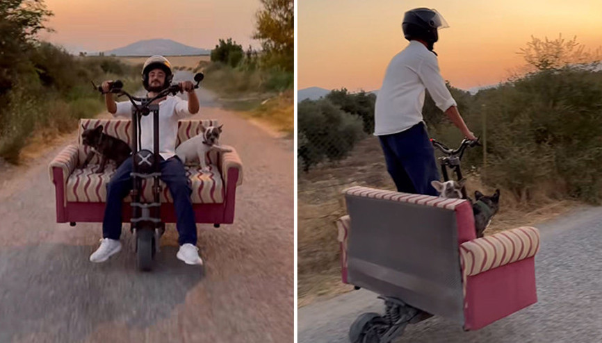 Scootere koltuk monte edip, köpekleriyle yolculuk yaptı