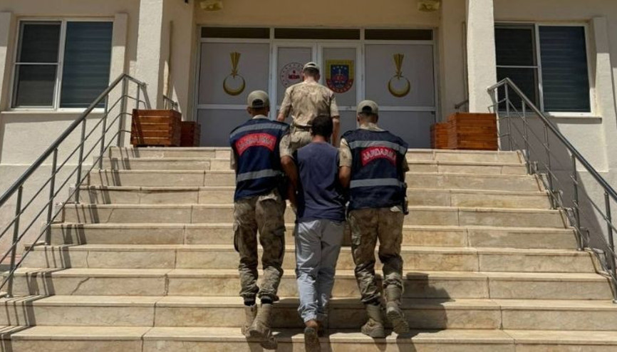 Hayvanlarla ilgili ‘uygunsuz paylaşım’ yapan kişi gözaltına alındı