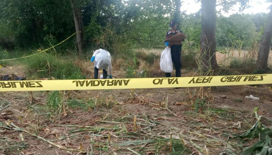 Tarlada bulunan kafatası ve kemikler jandarmayı harekete geçirdi Tarlada bulunan kafatası ve kemikler jandarmayı harekete geçirdi