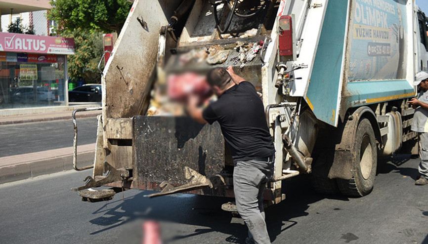 Ekipler yumurta ihbarı üzerine gitti, bu manzarayla karşılaştı Korkunç görüntüler: İmha edilmek üzere el konuldu Ekipler yumurta ihbarı üzerine gitti, bu manzarayla karşılaştı Korkunç görüntüler: İmha edilmek üzere el konuldu