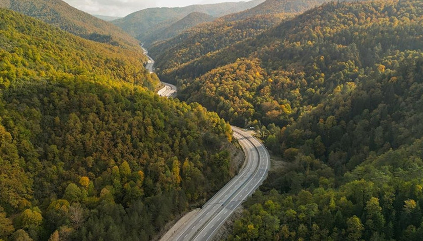 DMMden orman alanı iddialarına yalanlama