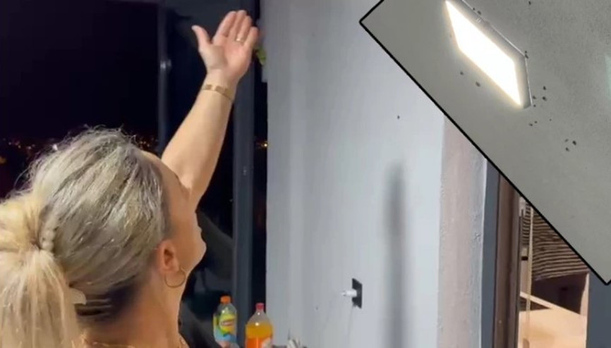 Rize’de bahçelerden sonra evlerde ‘vampir kelebek’ istilası Rize’de bahçelerden sonra evlerde ‘vampir kelebek’ istilası