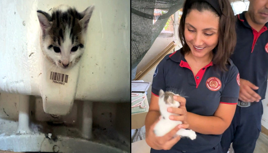 Başı lavabo deliğine sıkıştı Ekipler böyle kurtardı