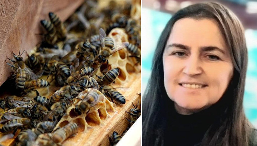 Giresunda fındık toplarken arının soktuğu kadın hayatını kaybetti