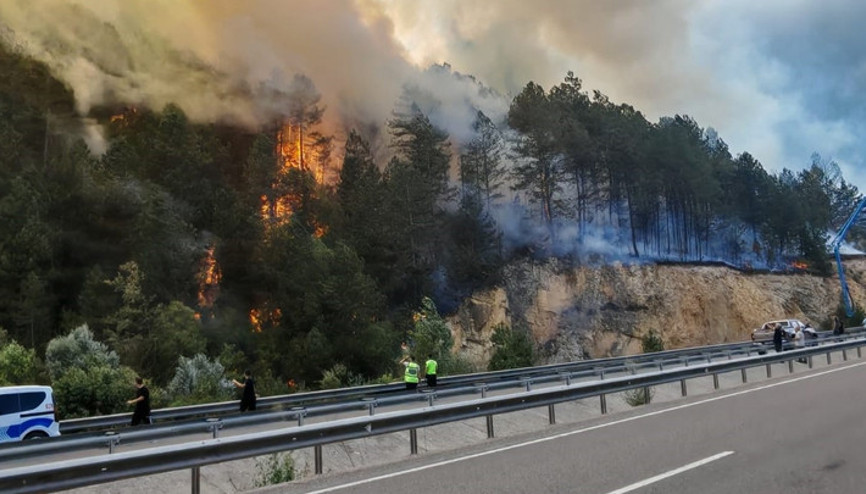 Son dakika... Boluda orman yangını Rüzgarın etkisiyle büyüdü