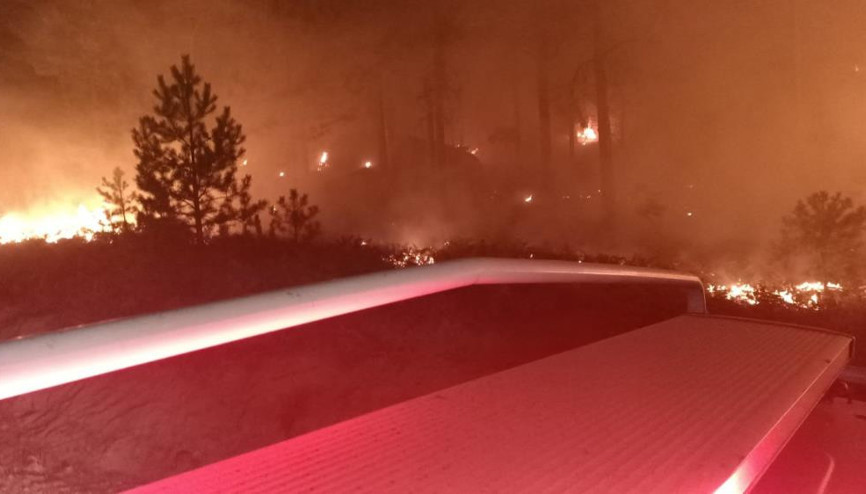 Muğlada orman yangını