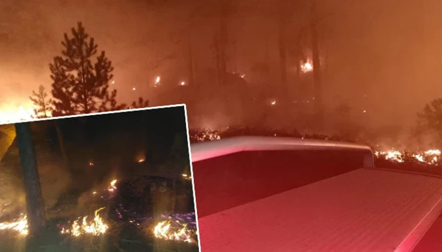 Muğlada korkutan orman yangını