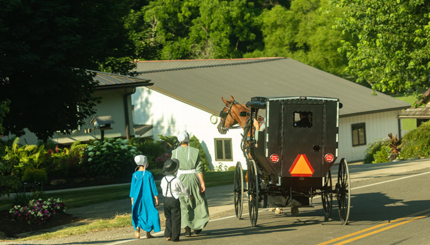 Modern dünyanın hastalığı onlara uğramıyor Bilim insanları Amişlerin bağışıklık sırrını araştırıyor