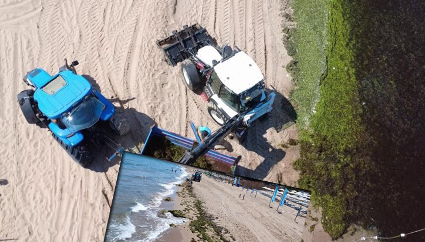 Kuvvetli rüzgarın etkisiyle sahile vurdu İstanbulda görüldü: Adeta yeşile bürüdü