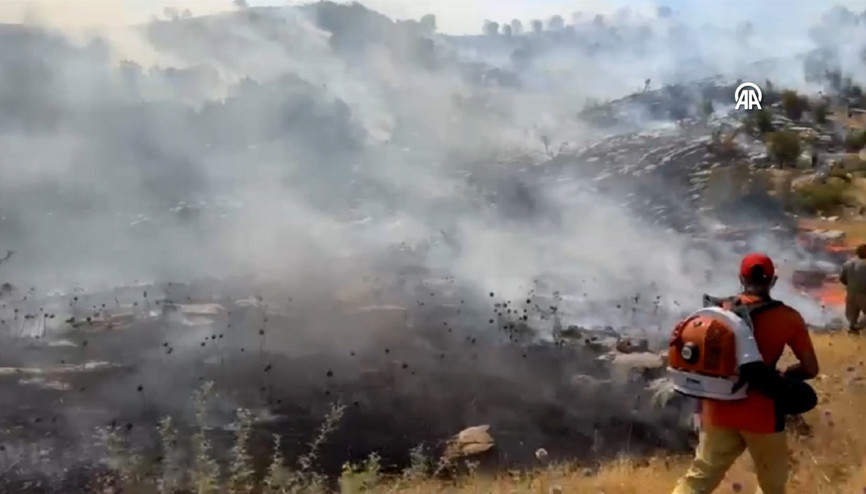 Bingöl’de ormanlık alanda yangın