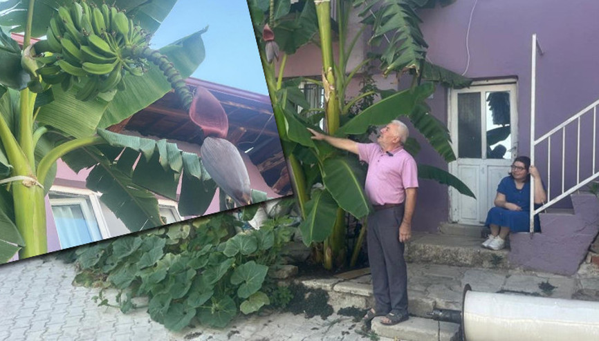 Askerlik arkadaşı getirdi geçim kaynağı oldu Boşuna uğraşıyorsun dediler imkansızı başardı