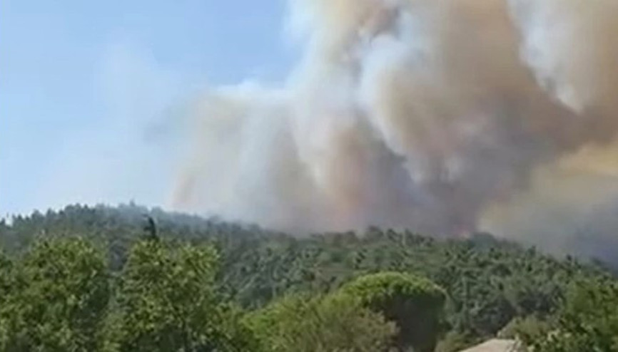 Çanakkale’nin Gelibolu ilçesinde orman yangını