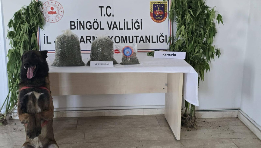 Bingöl’de 4 noktada uyuşturucu operasyonu Bingöl’de 4 noktada uyuşturucu operasyonu