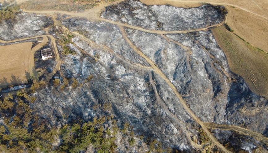 Geliboludaki orman yangını kontrol altında Yanan alanlar dronla görüntülendi Geliboludaki orman yangını kontrol altında Yanan alanlar dronla görüntülendi