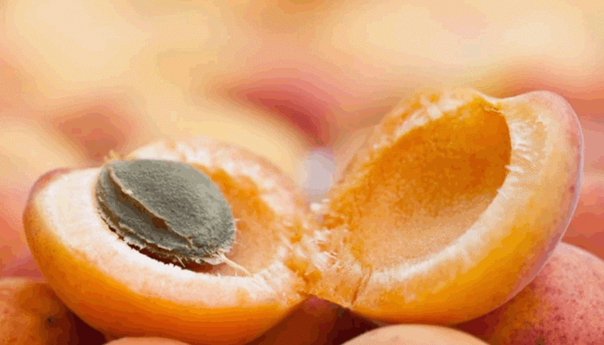 Yaşlanmaya kafa tutan Hunzaların sırrı ne