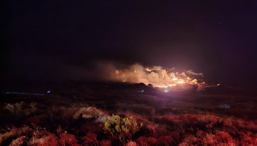 Marmara Adasında orman yangını