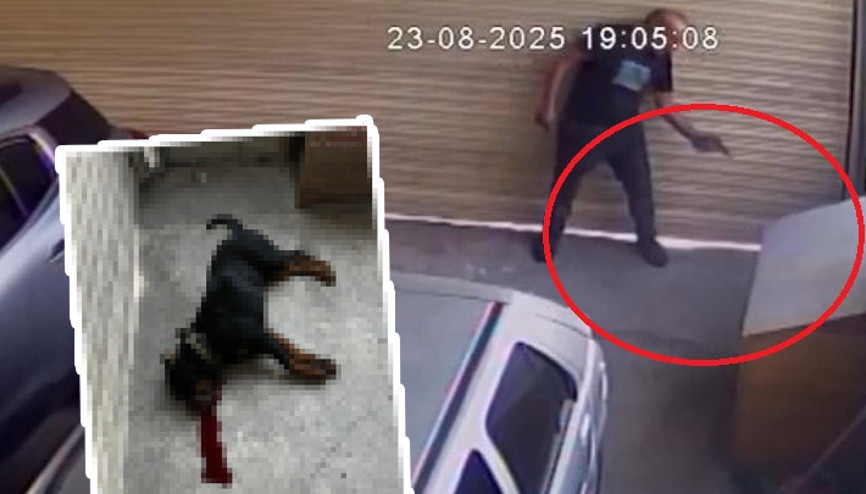 Ankarada vahşet Komşu esnafın köpeğini tabancayla vurarak öldürdü