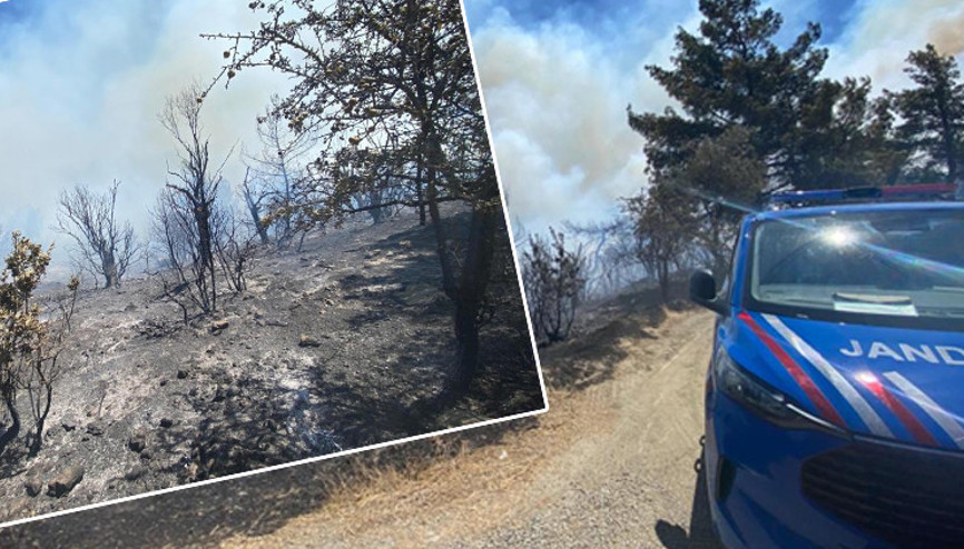 3 ilede orman yangını kontrol altına alındı