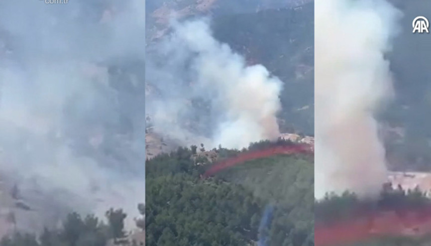 Adana Fekede orman yangını çıktı