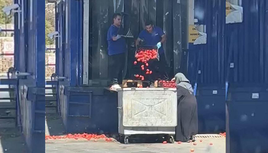 Görüntü tepki çekti: Zincir markette kasalarca domates çöpe döküldü