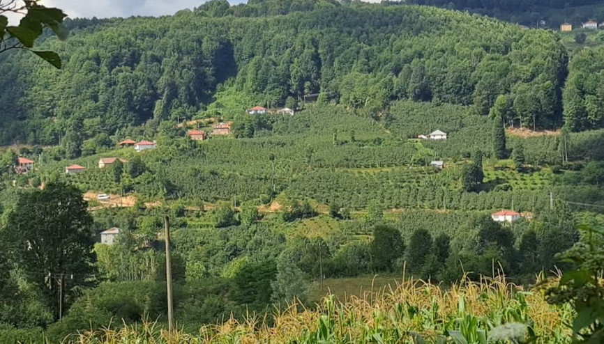 Ordu’da internet direkleri ve kabloları çalındı