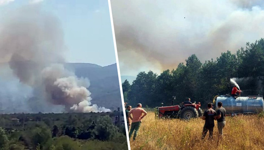 Son dakika... Sakaryadaki orman yangını kontrol altına alındı