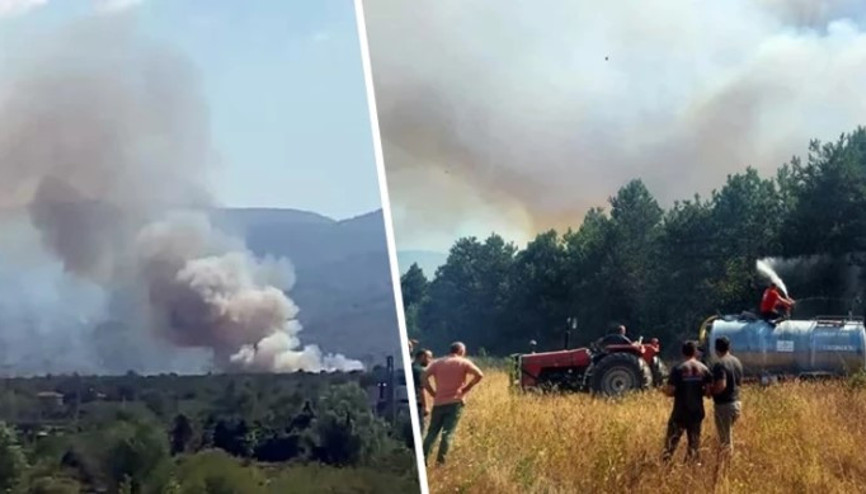 Sakarya’nın Akyazı ilçesinde ormanlık alanda yangın