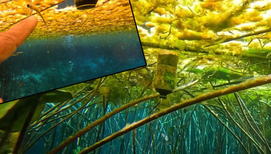 Antalyada korkunç manzara Son zamanlarda giderek artıyor dedi ve uyardı Antalyada korkunç manzara Son zamanlarda giderek artıyor dedi ve uyardı