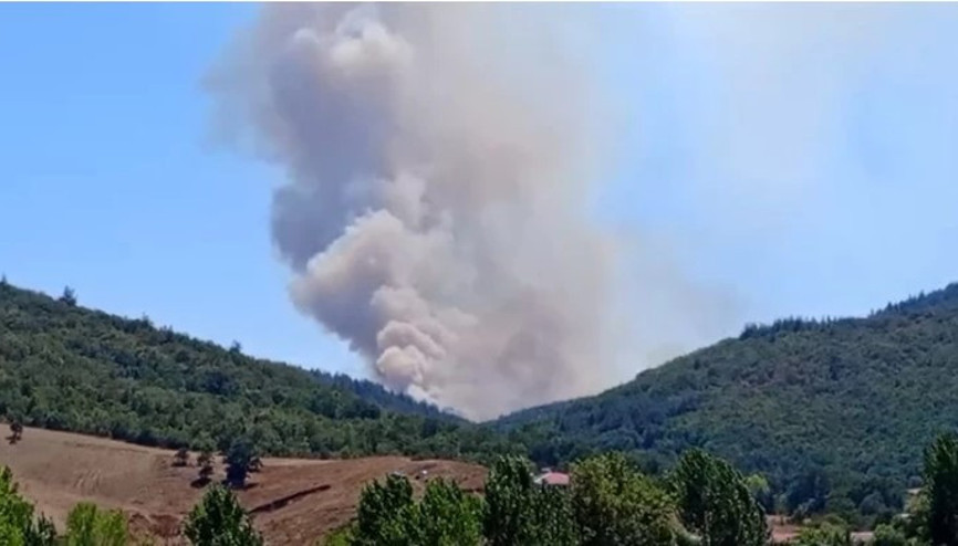 Bursa’nın Yenişehir ilçesinde orman yangını