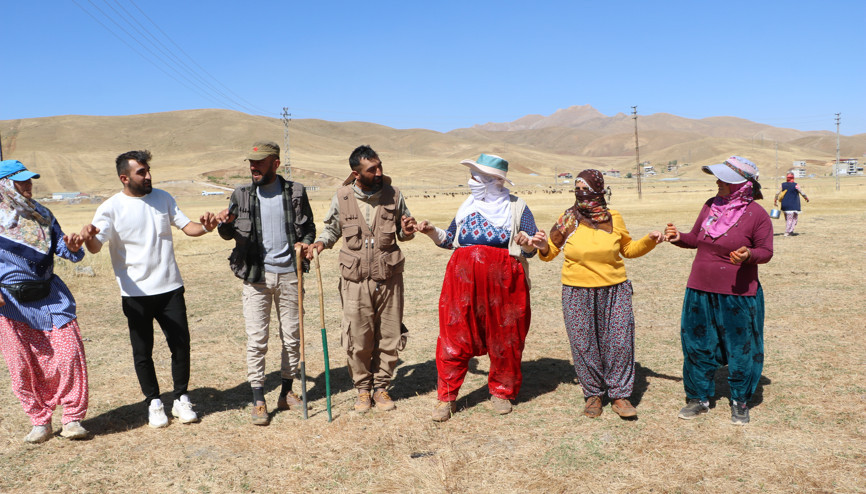 Yüksekovada berivanların yayla halayı Yüksekovada berivanların yayla halayı