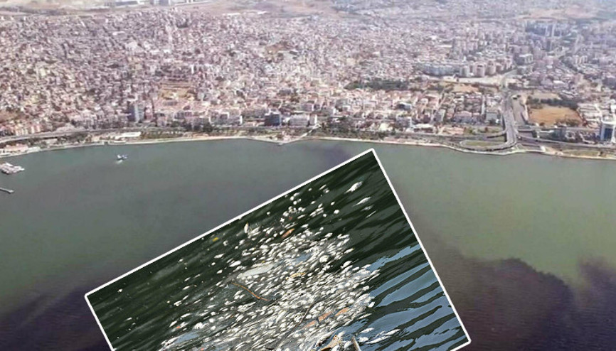 İzmir Körfezi alarm veriyor 1 yılda düzelir demekle kendimizi kandırırız dedi ve uyardı