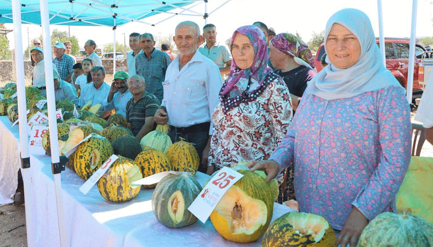 Kulada ilk kez kavun festivali düzenlendi