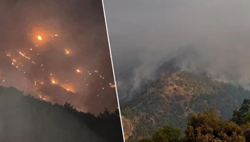 Denizli Buldan’da başlayan yangın Aydın’ın bazı mahallerine ulaştı