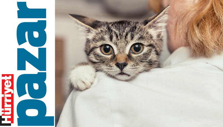 ‘Defnedecek yer aramak ıstırap’