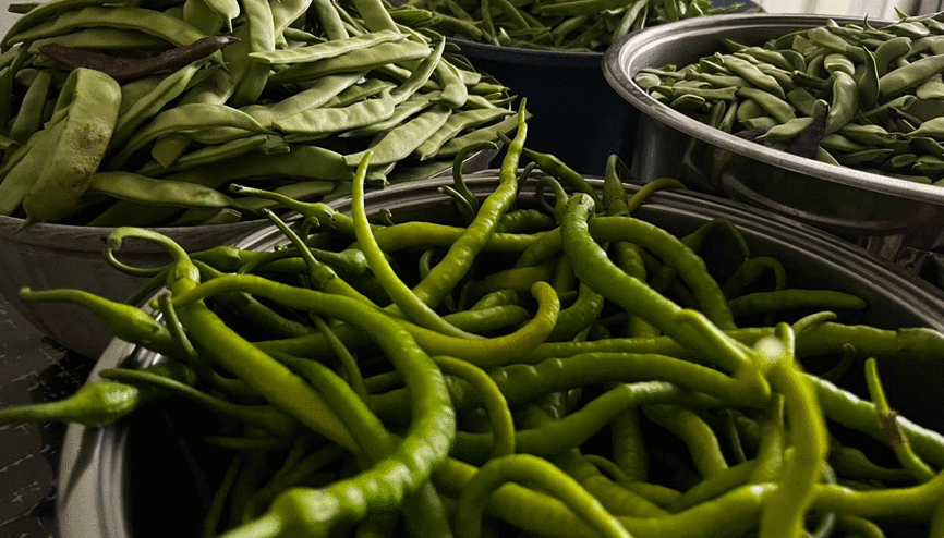 Bayburtlu kadınlar kışlık turşu hazırlıklarına başladı