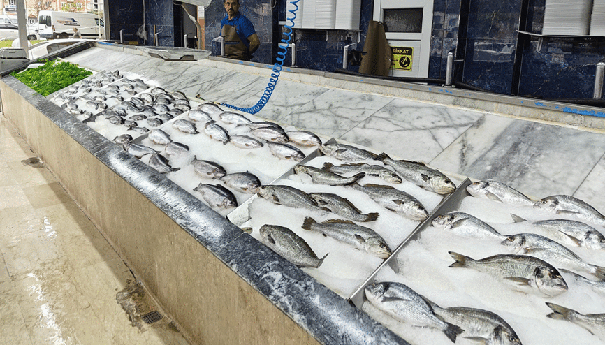 Balıkçılar yeni sezona hazır