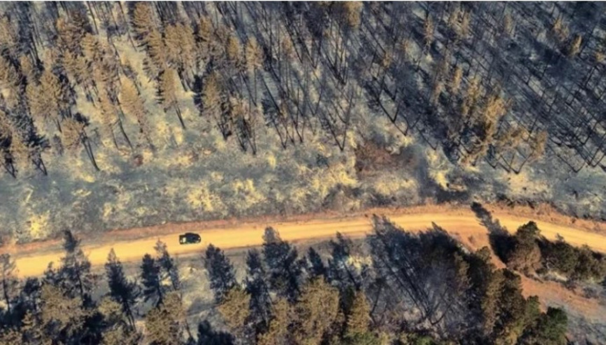 Karabükteki orman yangınında geriye bu manzara kaldı