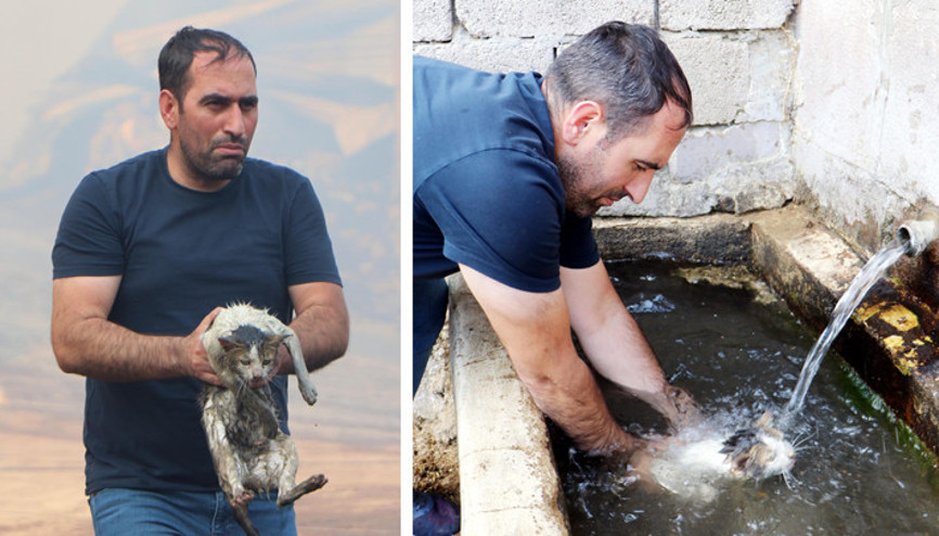 Erzurumda alevlerin arasına girip mahsur kalan kediyi kurtardı Dumanların arasında çaresizce beklediğini gördüm Erzurumda alevlerin arasına girip mahsur kalan kediyi kurtardı Dumanların arasında çaresizce beklediğini gördüm