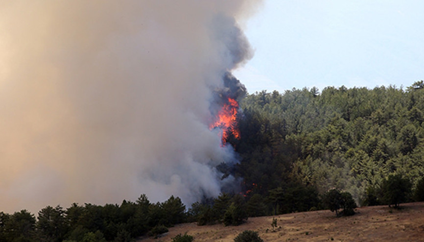 Son dakika... Kastamonuda alevlerle mücadele Bakan Yumaklı, orman yangılarına ilişkin son durumu açıkladı