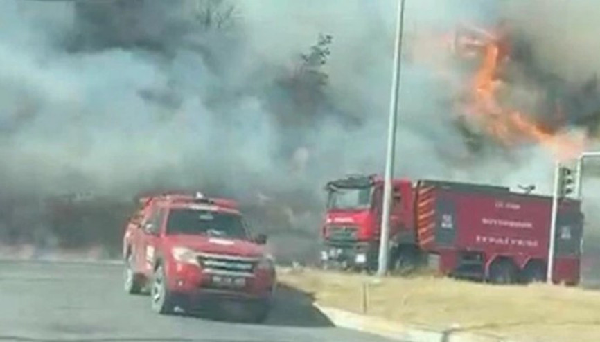 Aydın’da maki yangını