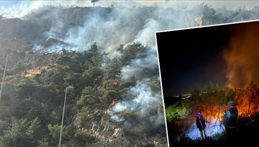 Düzce, Bursa ve Burdurda orman yangını