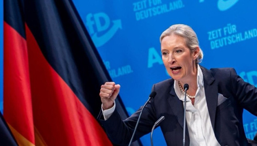 Almanyada yerel seçimler öncesi aşırı sağcı AfD şoku: 1 eyalette açık ara farkla önde