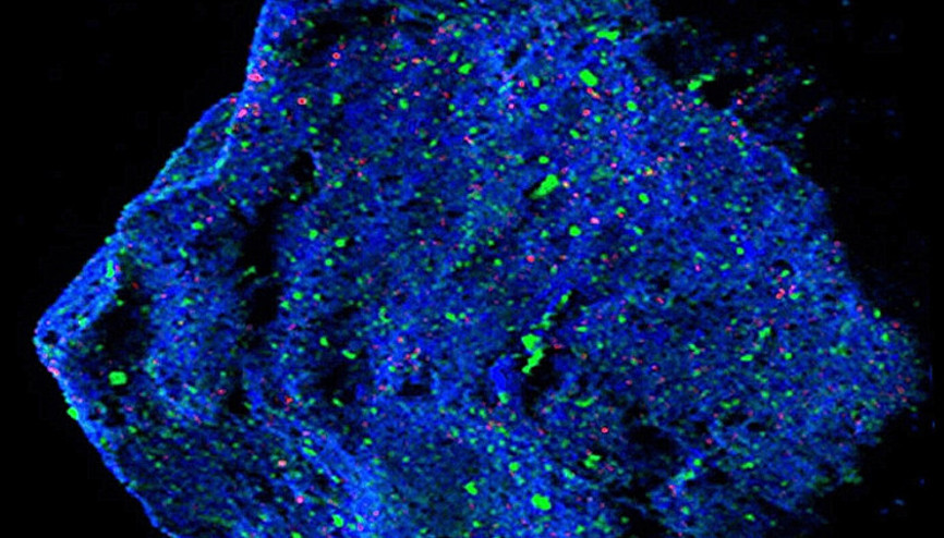 Astreoitte Dünya’da bulunmayan bir mineral keşfedildi