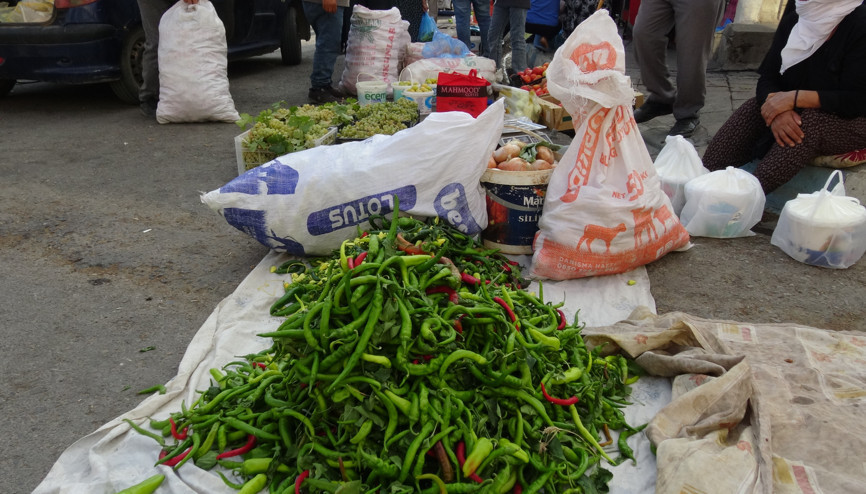 Gercüş’te sebze ve meyve üreticileri verimden memnun