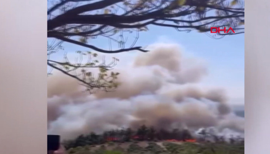 Bursanın Osmangazi ilçesinde orman yangını