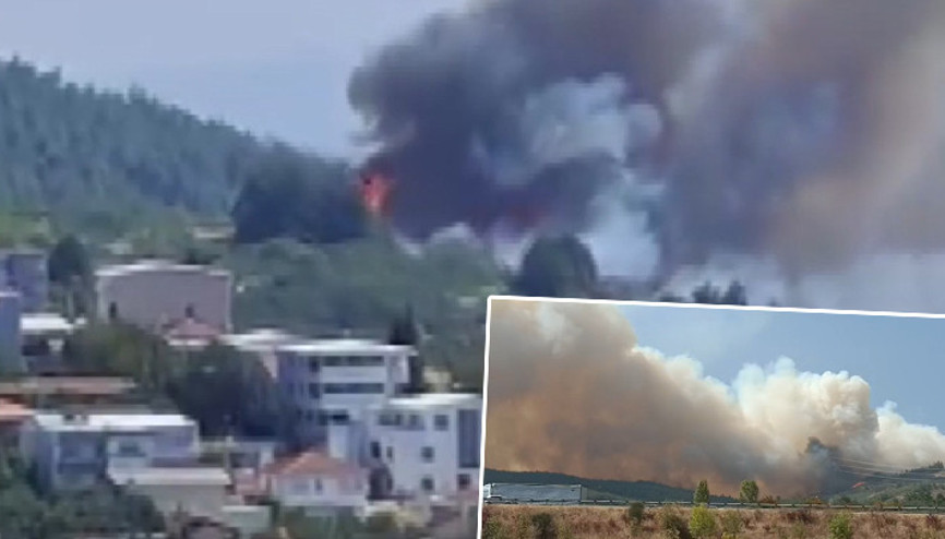 Son dakika... Bursada orman yangını Rüzgarın etkisiyle ilerliyor