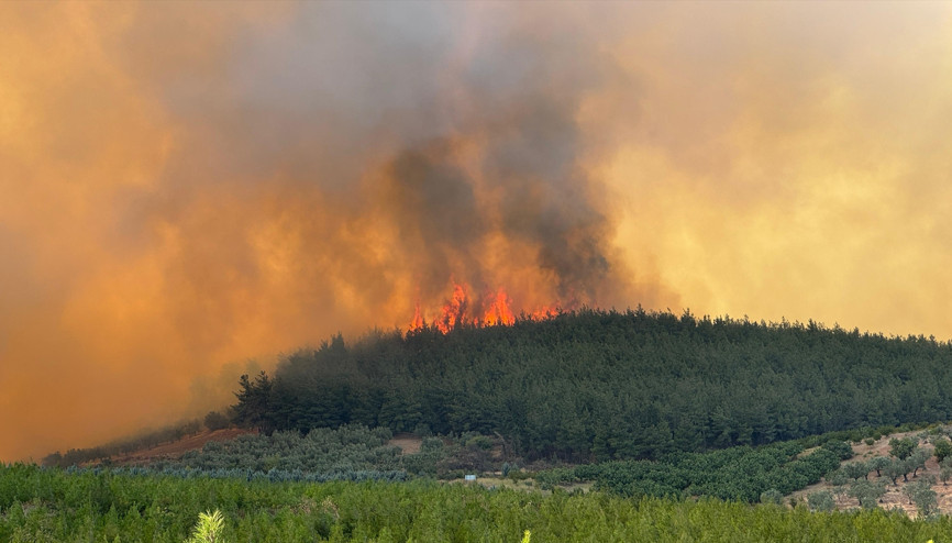 Bursada orman yangını