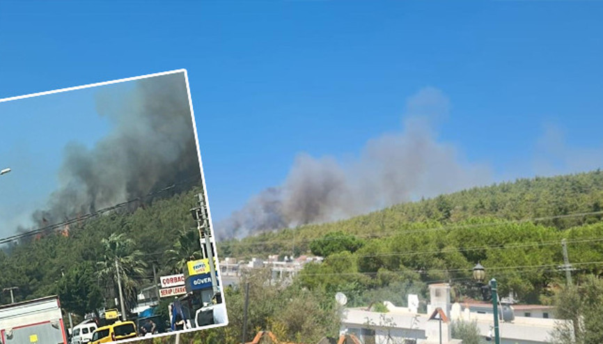 Bodrum’daki orman yangını kontrol altına alındı