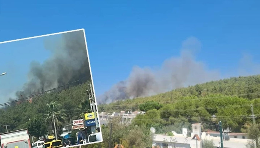 Bodrum’da orman yangını Rüzgarın etkisiyle büyüyor